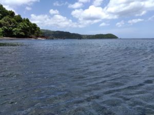 Swamp Corps in St. Vincent