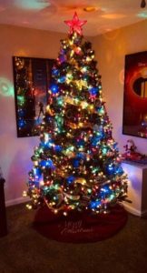 Holiday Fun
